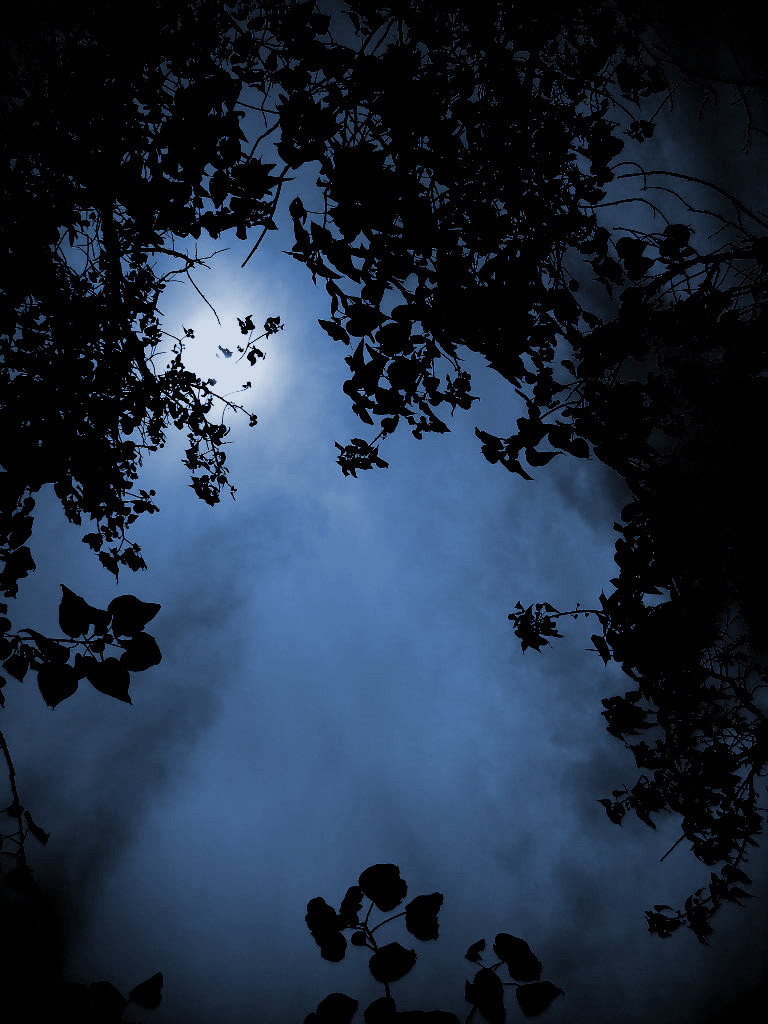 220931420_fab626cc9a_o-e1444013739219-76